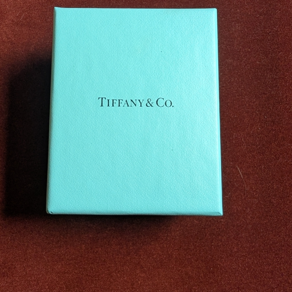 Tiffany & Co. Turquoise Gift Box